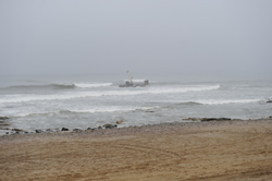 take a stroll along the beach in walvis bay