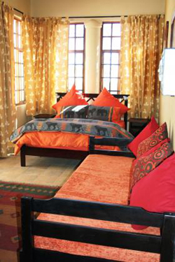 chameleon backpackers namibia