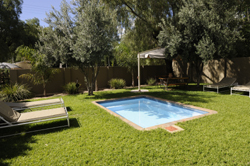 swimming pool at elegant bed and breakfast windhoek