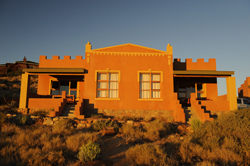 namib desert horse in aus