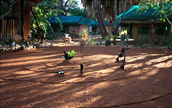 Epupa Camp Accommodation