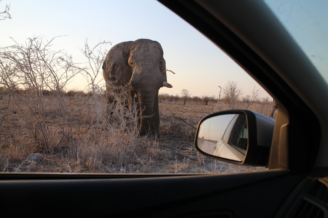 Etosha National Park Accommodation
