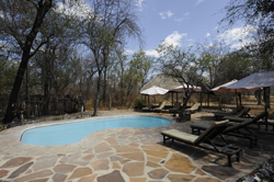 places to stay in Etosha