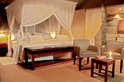 Eagle Tented Camp Accommodation
