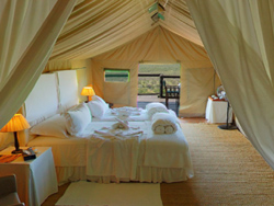 Eagle Tented Camp Accommodation