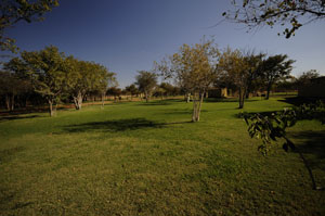 etosha camping