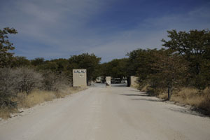 halali camp etosha namibia