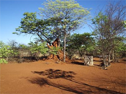 places to stay in Etosha