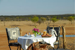 places to stay in Etosha