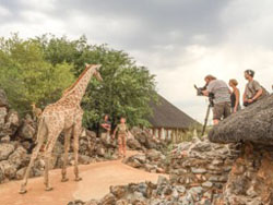 Okutala Etosha Lodge