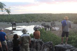 Okutala Etosha Lodge