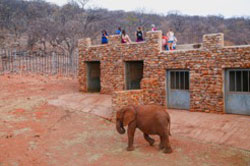 Okutala Etosha Lodge