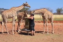 Okutala Etosha Lodge