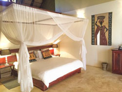 Okutala Etosha Lodge Accommodation