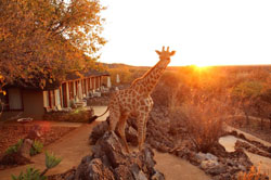 Okutala Etosha Lodge Accommodation