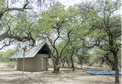 Onguma Leadwood Camp