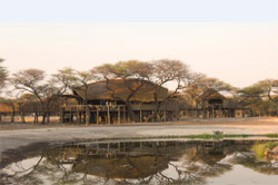 places to stay in Etosha