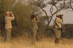 places to stay in Etosha