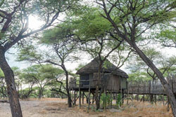 Onguma Tree Top Camp Accommodation