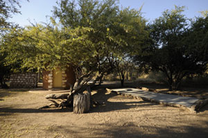 etosha camping place