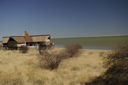 places to stay in Etosha