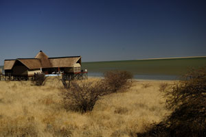 onkoshi lodge etosha namibia 