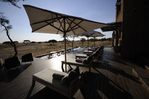 etosha onguma plains camp namibia