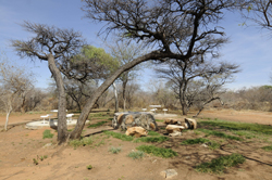 places to stay in Grootfontein