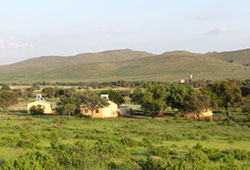 Lovedale Farm Accommodation