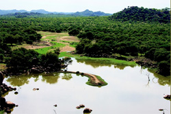 Otjitambi Guest Farm Accommodation