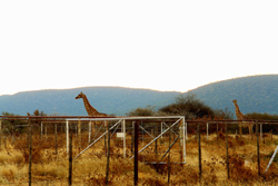 Rustig Toko Lodge Camping Accommodation