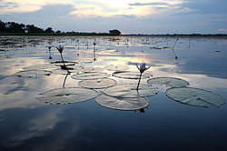 Caprivi Mutoya Lodge & Campsite