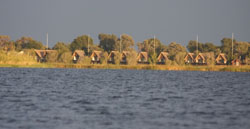 Chobe Water Villas