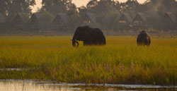 Chobe Water Villas