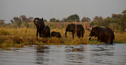 Chobe Water Villas