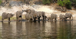 Chobe Water Villas