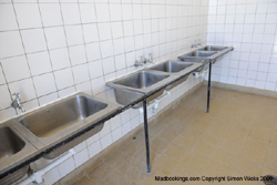 Shark Island Accommodation