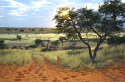 Teufelskrallen Tented Lodge