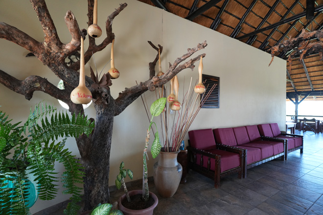 Mondjila Safari Camp Accommodation Etosha National Park