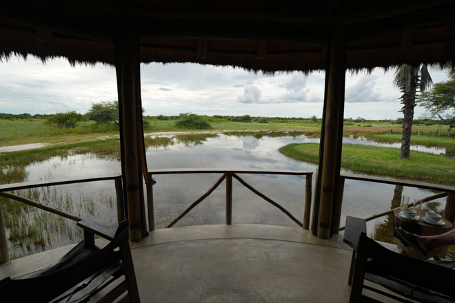 Onguma Bush Camp Accommodation Etosha National Park