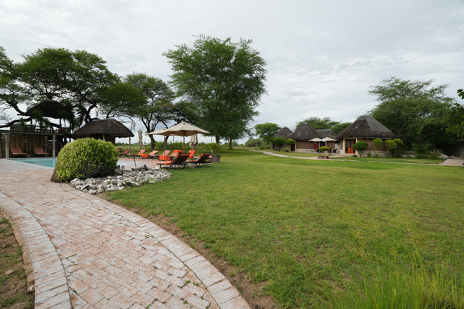 Onguma Bush Camp Accommodation Etosha National Park