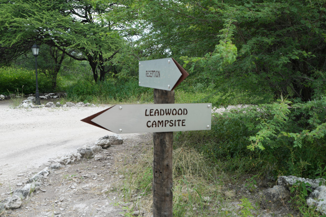 Onguma Leadwood camp Accommodation