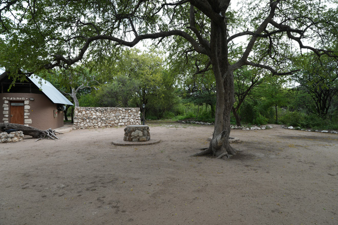 Onguma Leadwood camp Accommodation Etosha National Park