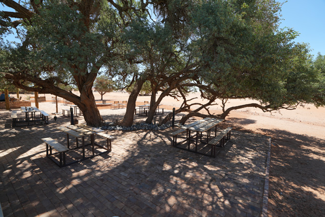 Sossusvlei Lodge Accommodation Sossusvlei