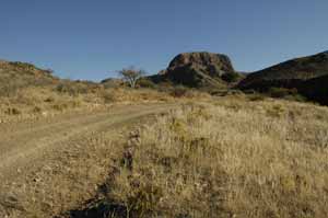 namibai Holiday safari