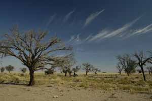 kalahari desert namibia