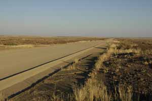 namibia safari