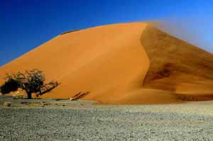 namib desert flight