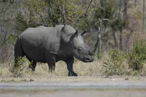 etosha hotel