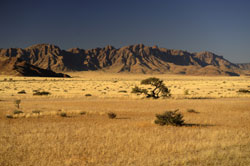 naukluft namibia